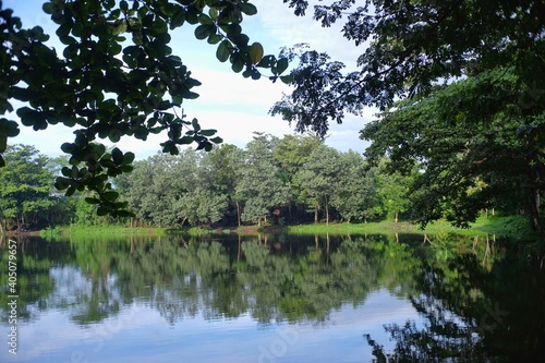 The lake with calm water reflects the green trees on its banks and is framed by silhouette of the leaves on foreground.