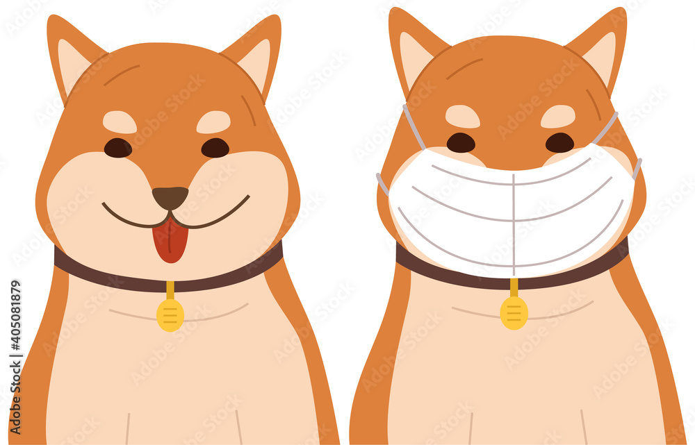 Dog is putting on a mask. Red-haired dog with a mask on. Happy ginger dog in medical mask, vector illustration, isolated on white, background. Self-isolation during quarantine, and pandemic Dog is putting on a mask. Red-haired dog with a mask on. Happy ginger dog in medical mask, vector illustration, isolated on white, background. Self-isolation during quarantine, and pandemic