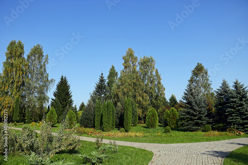 View of the green young park with trails for walking.