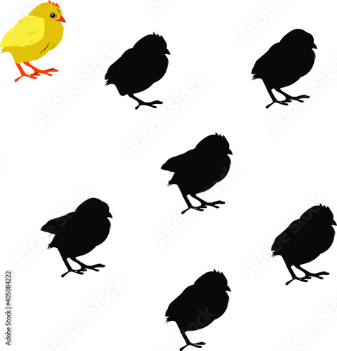 game for kids find the right shade for the chicken. Vector illustration isolated on a white background