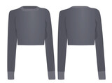 Women gray crop sweater. vector illustration