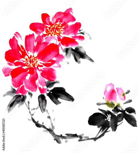 牡丹