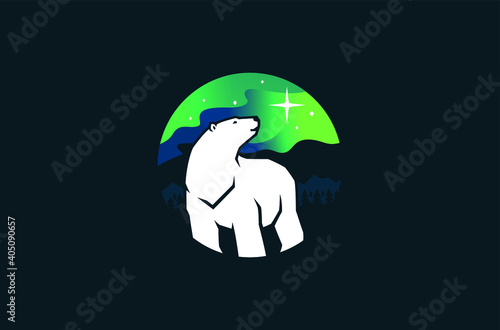 Polar Bear Look Up The Northern Star Under the Aurora