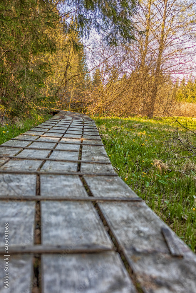 Weg aus Holzbollen in einem Moorgebiet im Nationalpark Bayerischer Wald. Im Frühling. Hochformat