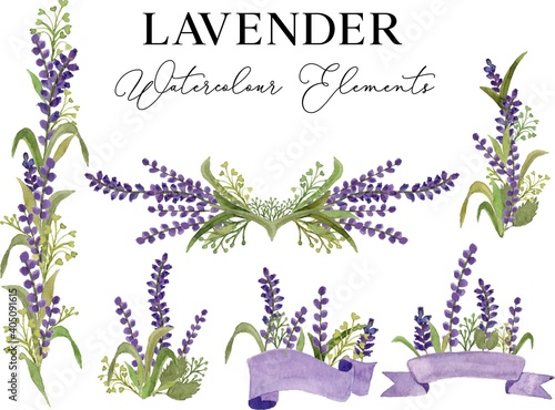 Lavender Flower Watercolor Illustration Vector