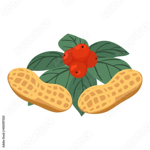 Bio food icon. Isometric illustration of bio food vector icon for web