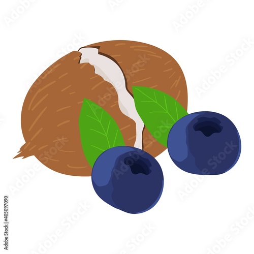 Health food icon. Isometric illustration of health food vector icon for web