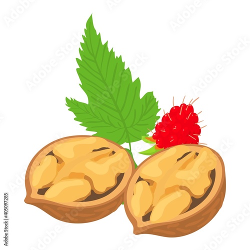 Delicious food icon. Isometric illustration of delicious food vector icon for web
