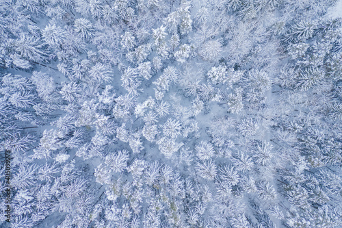 White background texture of a frozen forest at winter, top earial view