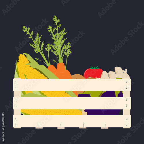Vector illustration wooden box with vegetables food. Carrots, potatoes, tomatos, eggplants, garlic and golden corn
