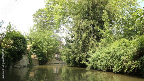 River banks of river Cam  trees and bushes in Cambridge  UK  summer 2018