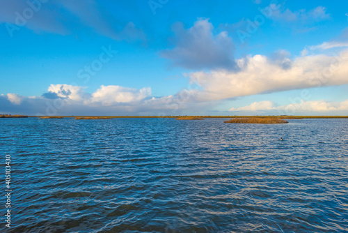 Shore of a blue lake in wetland under a bright blue rainy sky  Almere  Flevoland  The Netherlands  January 12  2021