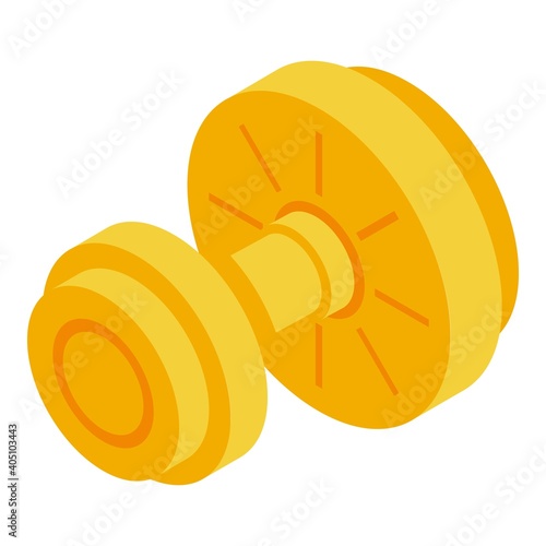 Round handle door icon. Isometric of round handle door vector icon for web design isolated on white background
