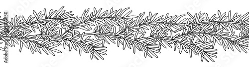 Seamless pattern of rosemary branch in black with white colors. Hand drawing. Can be used as seamless brush for wreath. Vector illustration.