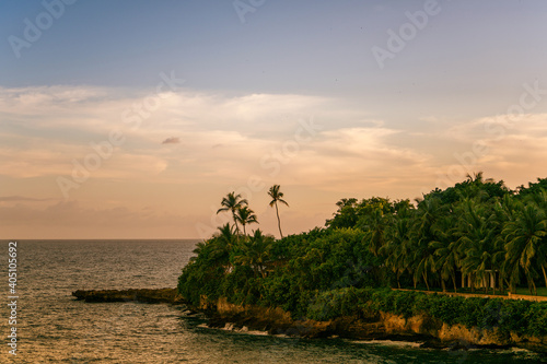 Palm trees on La Romana Beach, Dominican Republic