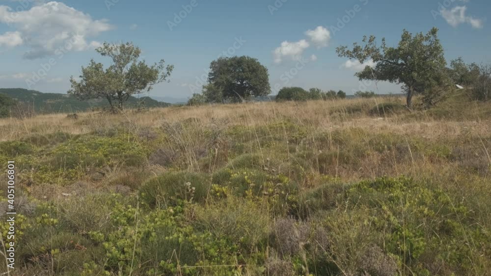 Landscape in the mountain on a summer day with vegetation and trees and rocks with bright blue sky in Catalonia, Spain Landscape in the mountain on a summer day with vegetation and trees and rocks with bright blue sky in Catalonia, Spain