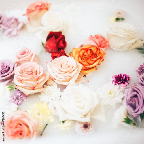 Wellness baths filled with milk. The buds of multi-colored roses float on the surface. Relaxing and anti-aging treatments
