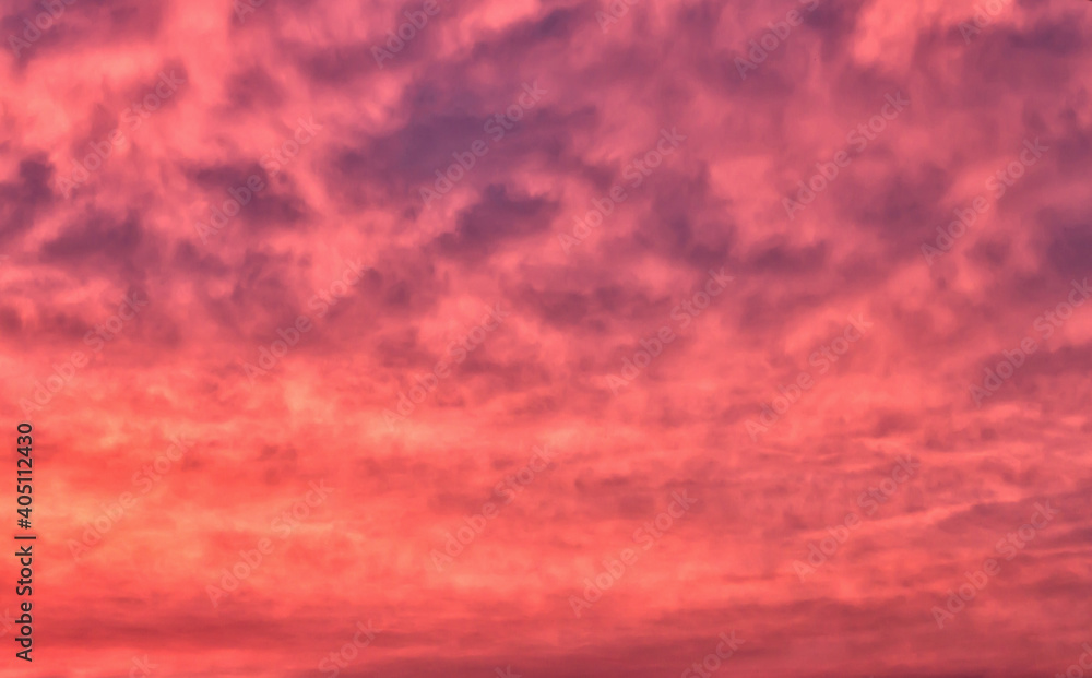 Evening sky with bright pink clouds at sunset.