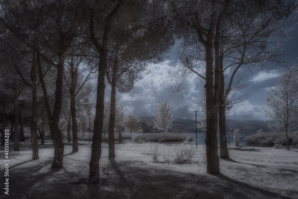 the shoreline of Lake Iznik in infrared the shoreline of Lake Iznik in infrared