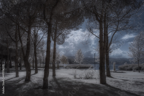 Fototapeta Naklejka Na Ścianę i Meble -  the shoreline of Lake Iznik in infrared