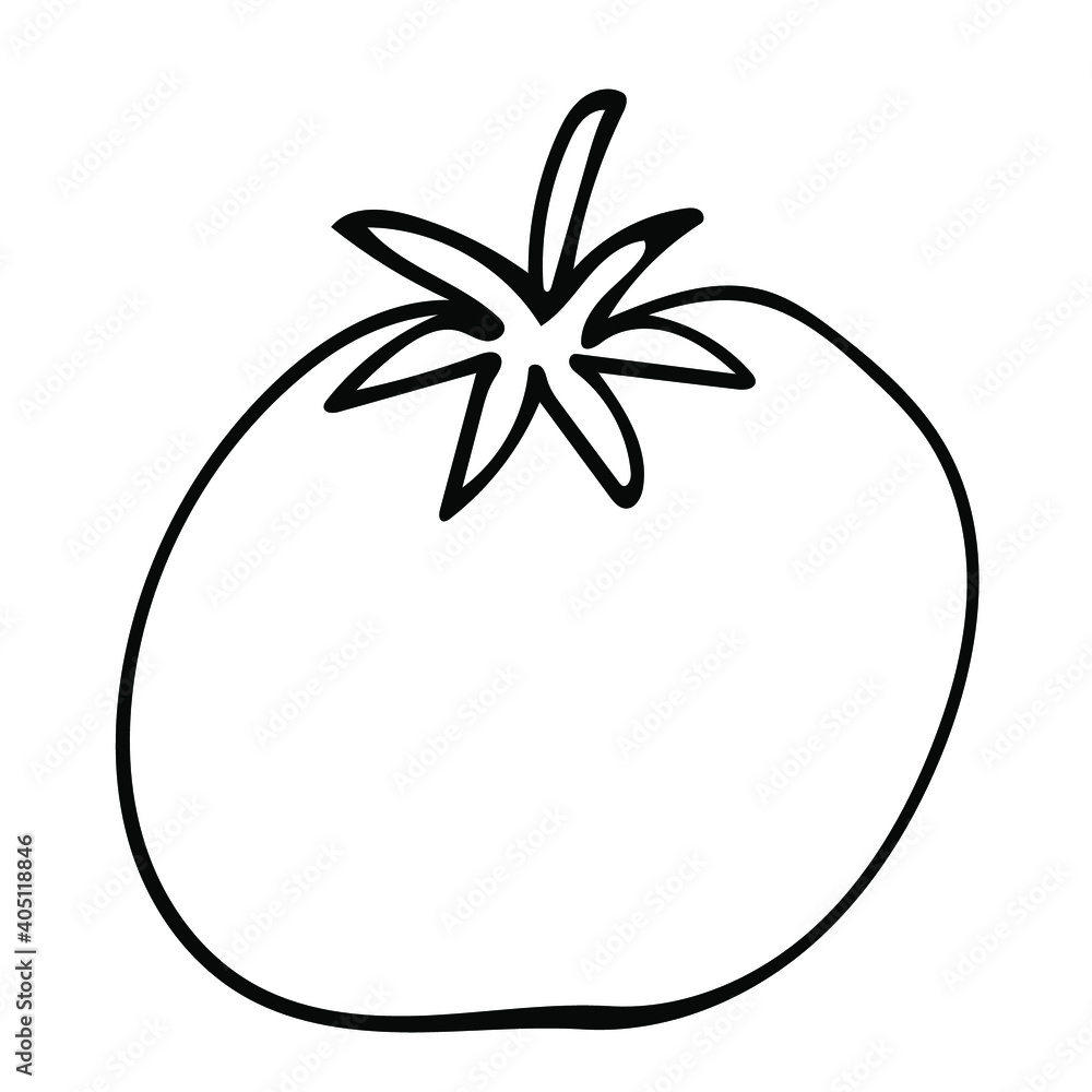 Cute hand drawn vegetable - tomato. Doodle vector illustration for vegetable blanks, cooking recipes and kitchen design. Cute hand drawn vegetable - tomato. Doodle vector illustration for vegetable blanks, cooking recipes and kitchen design.