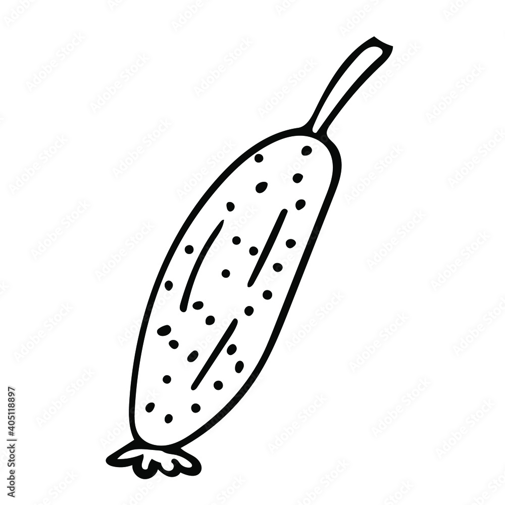 Cute hand drawn vegetable - cucumber. Doodle vector illustration for vegetable blanks, cooking recipes and kitchen design. Cute hand drawn vegetable - cucumber. Doodle vector illustration for vegetable blanks, cooking recipes and kitchen design.
