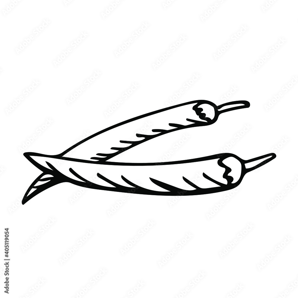 Cute hand drawn vegetables - hot peppers. Doodle vector illustration for vegetable blanks, cooking recipes and kitchen design. Cute hand drawn vegetables - hot peppers. Doodle vector illustration for vegetable blanks, cooking recipes and kitchen design.