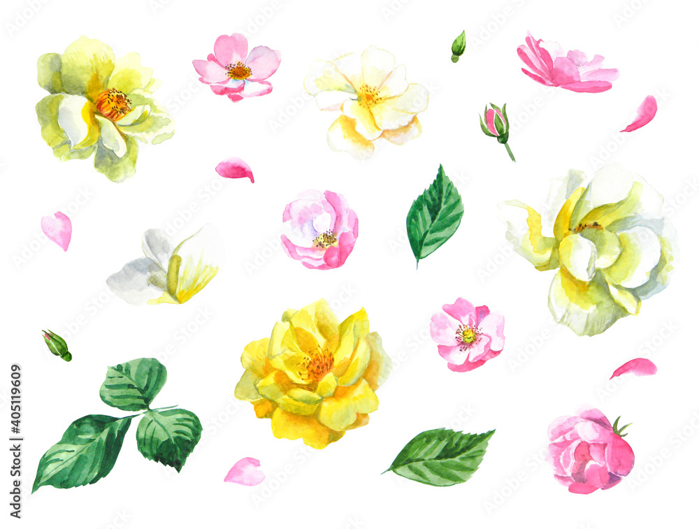 Set of beautiful watercolor flowers and leaves. Yellow and pink flowers and petals on white background