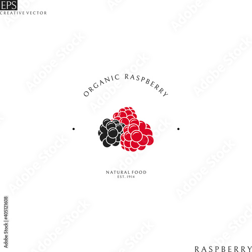 Raspberry. Logo template 
