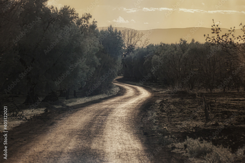 a winding road through the Turkish countryside in infrared