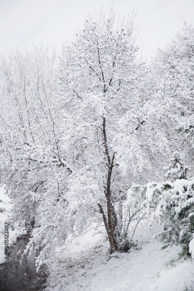 Nieve en españa, aragon, zaragoza, invierno blanco, arboles , nevada, frio, paisaje, parque, rio conjelado. Nieve en españa, aragon, zaragoza, invierno blanco, arboles , nevada, frio, paisaje, parque, rio conjelado.
