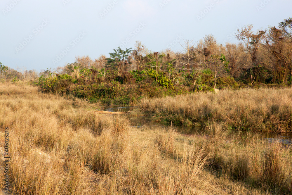Landschap Chitwan NP, Landscape Chitwan NP