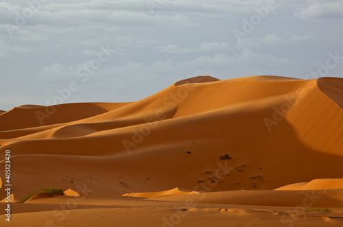 Erg Chebbi Marokko  Erg Chebbi Morocco