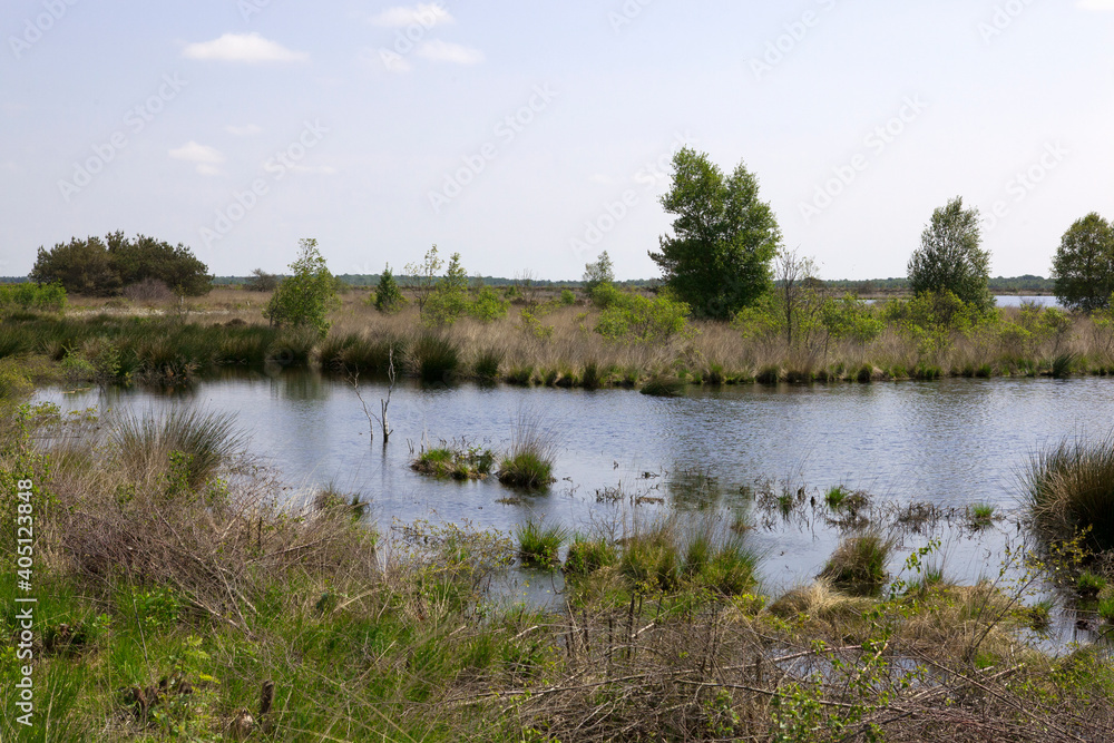 Fochteloërveen