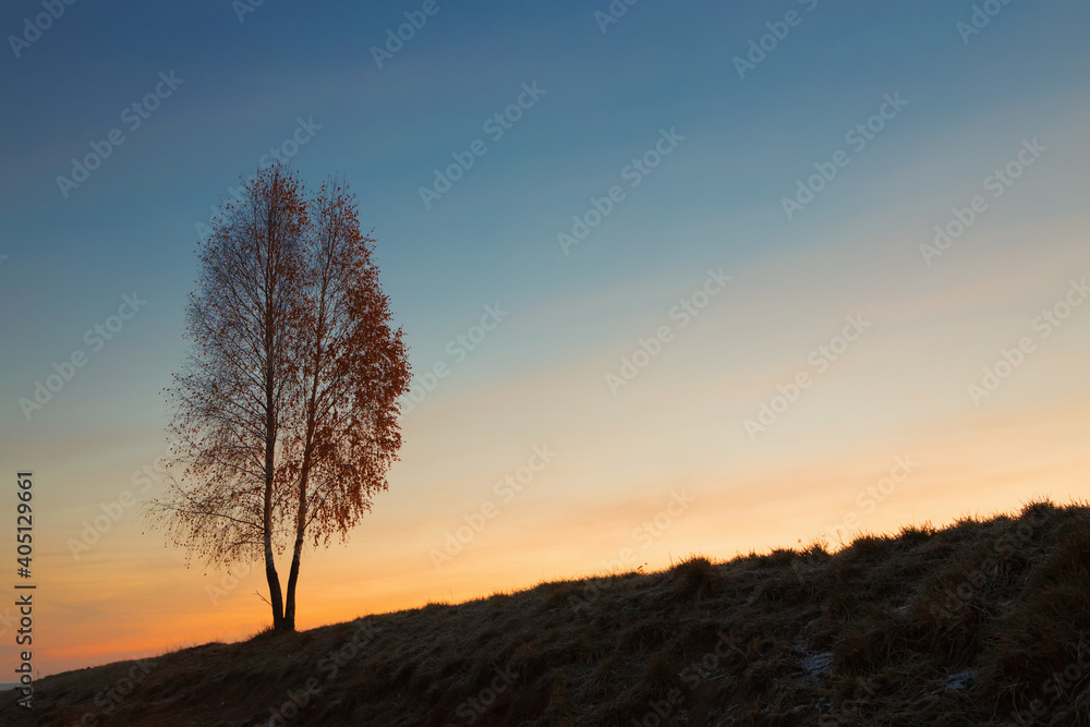 lonely tree by the road at dawn lonely tree by the road at dawn