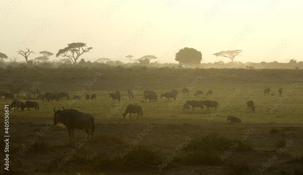 Landschap Amboseli, Landscape Amboseli Landschap Amboseli, Landscape Amboseli
