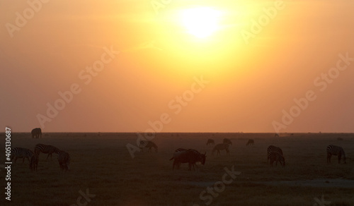 Landschap Amboseli  Landscape Amboseli