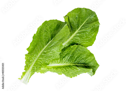 Top view of fresh raw green romaine lettuce leaves for salad isolated on white background.