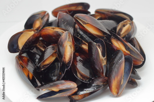 mussels on white background
