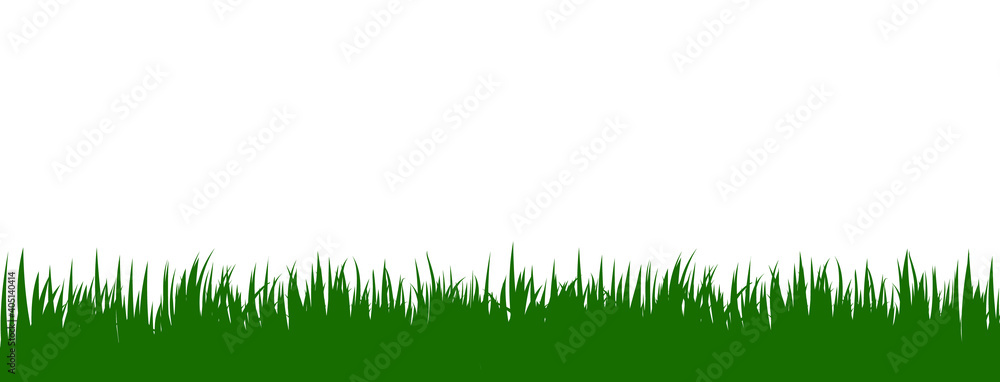 Green grass vector foreground on white background Green grass vector foreground on white background