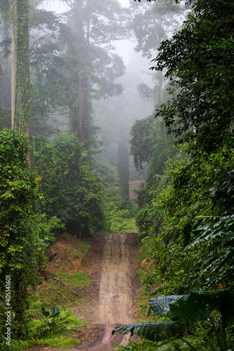 Danum Valley Borneo photo