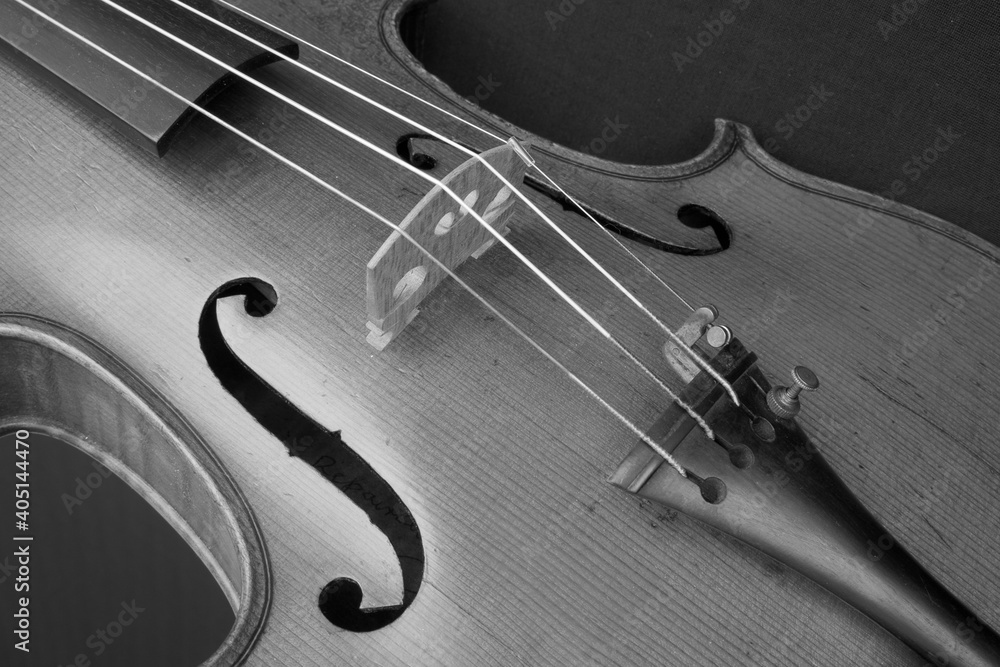 Black and white closeup image of a violin Black and white closeup image of a violin