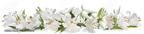 Panel kuchenny z motywem white lily   long