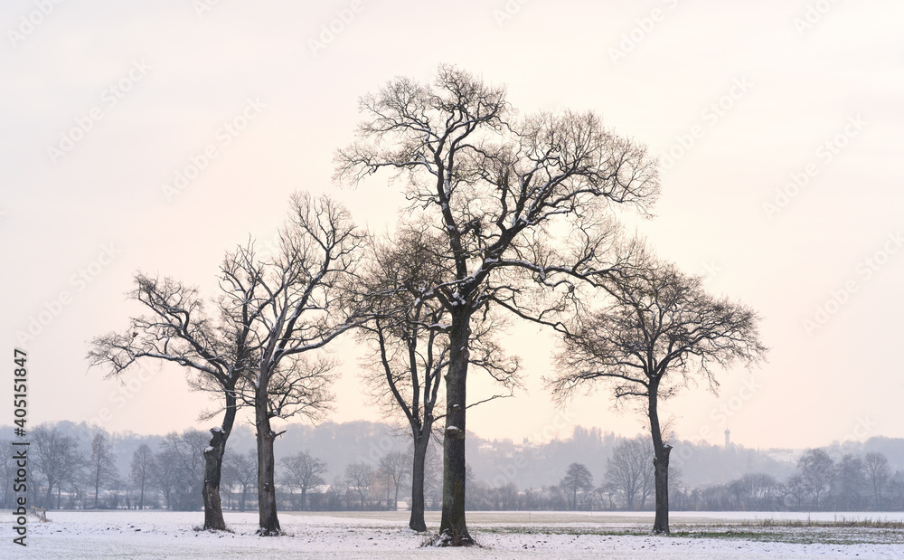 Wintry landscape with bare trees at sunrise in a rural setting in Bavaria Wintry landscape with bare trees at sunrise in a rural setting in Bavaria