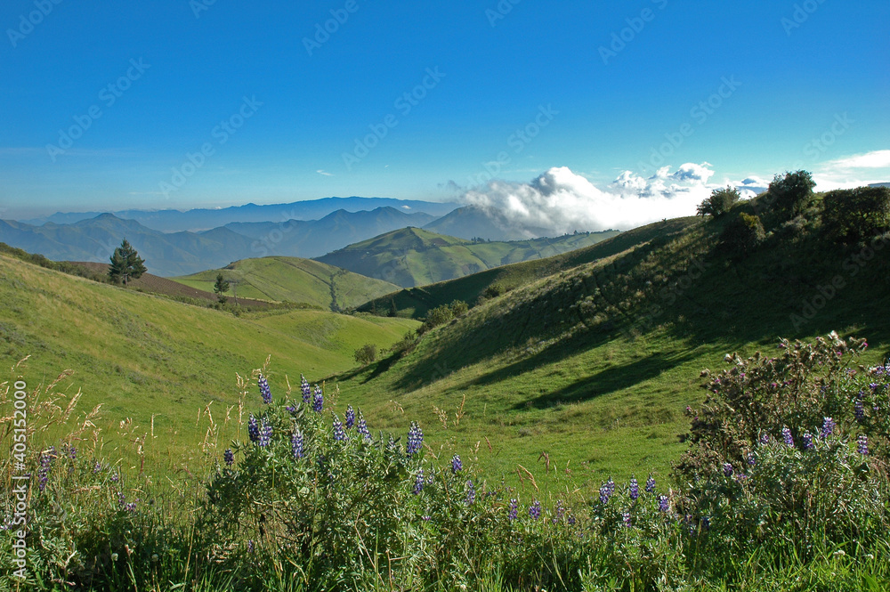Obraz premium Mindo Ecuador