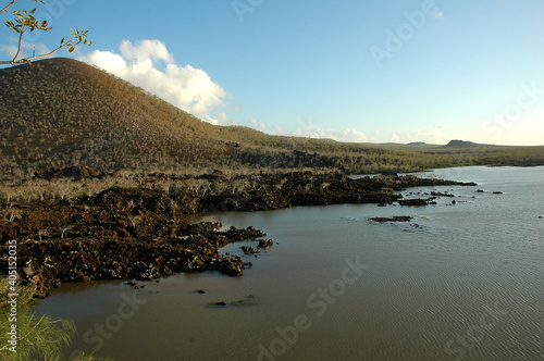 Fototapeta Naklejka Na Ścianę i Meble -  Galapagos