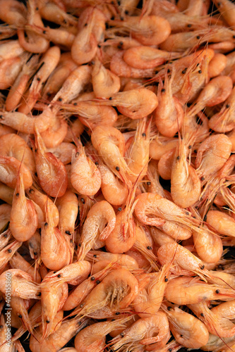 food background, many small shrimp