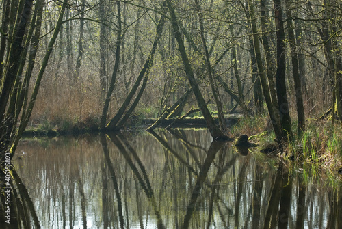 Naardermeer photo