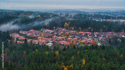 Aerial View European Suburb in Forest
