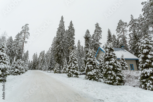 Scenic view on the snowy road with pine trees and a wooden cottage.